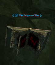The Enigma of Fire