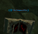 The Enigma of Fire