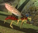 A Tox fly
