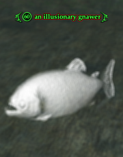 An illusionary gnawer