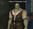 A House X'Rzheduis slave