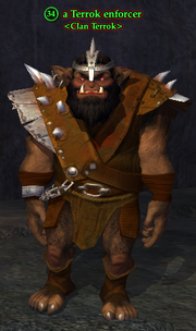 A Terrok enforcer
