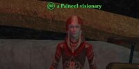 A Paineel visionary