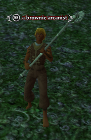 A brownie arcanist