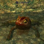 A bile toad