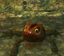 A bile toad