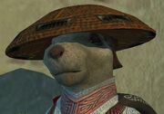 Hoo'Loh's Straw Hat (Visible)