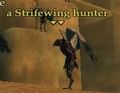 A Strifewing hunter.jpg