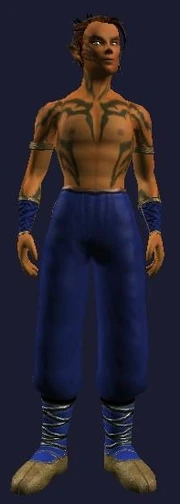 Pristine Tailored Dexterous Hidebound Leather Gi (Visible, Male)