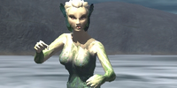 An entrancing siren
