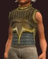 Archon's Breastplate (Equipped).png