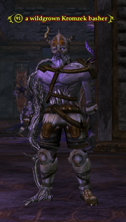 A wildgrown Kromzek basher