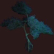 Lavender Vesspyr Willow (Placed)