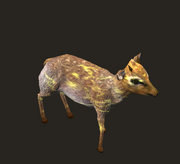 Tainted Deer Placed