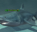 Ebon Tooth