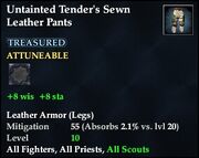 Untainted Tender's Sewn Leather Pants
