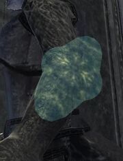 Shield of the Magi (equipped)