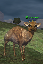 A vale deer