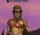 An Amazon archer