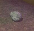 Pet rock.jpg