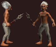 Heart of the Horde (Equipped)