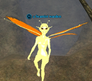 A Seamist warden