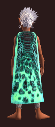 Dragonhide Shroud of Deathdealing (Equipped)