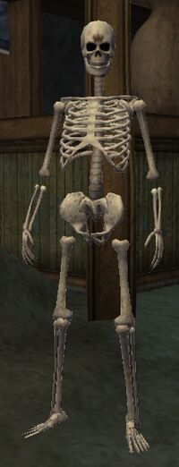 Undead Knight (Spell) (Apprentice)