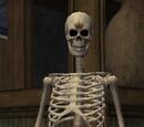 Undead Knight (Spell)