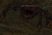 A lurid feeder