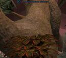 An insectivorous nibbler