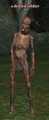 Defiled soldier (Zombie).jpg