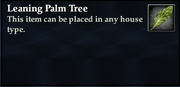 Leaning Palm Tree