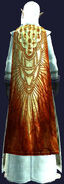 Cloak of the Master Sage