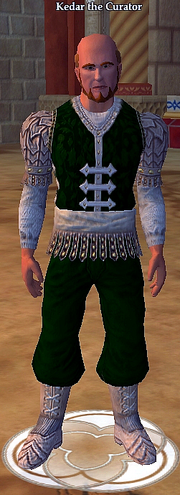 Kedar the Curator