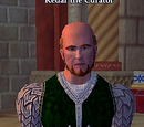 Kedar the Curator