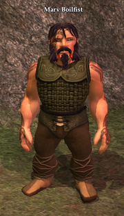 Marv Boilfist