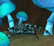 A regal crawler
