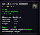 Sea salt encrusted pauldrons