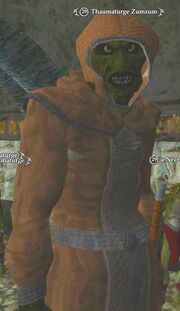 Thaumaturgezumzum