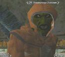 Thaumaturge Zumzum
