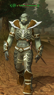 A Vallon centurion