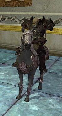 Undead Knight VIII (Adept)