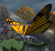 A monarch fae drake hatchling