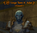 Liege Torn A`Adar