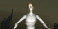 A Forgotten Illusionist