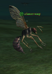 A lancer wasp