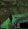 Quest Confirming the Right Track the book.jpg