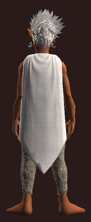 Cloak of Chaotic Enchantment (Equipped)