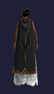 Flowing Black Cloak (Equipped)